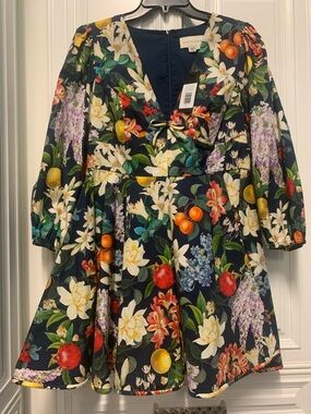 A very pretty dress by Sachin & Babi. Size 8